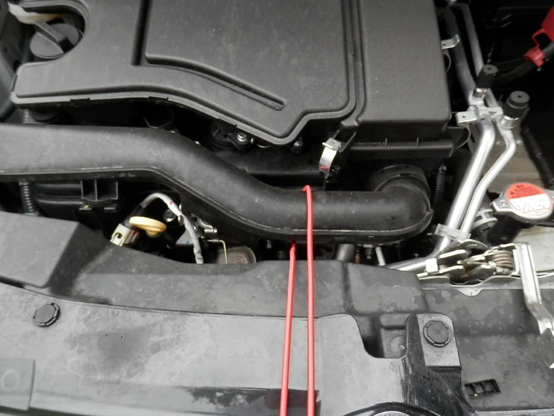 Trade Plate Holder Hi‑Vis Adjustable Cord – Single