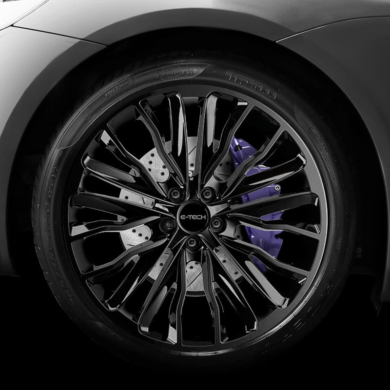E‑Tech Brake Caliper Paint Kit – Professional High Temperature 220°C-Violet