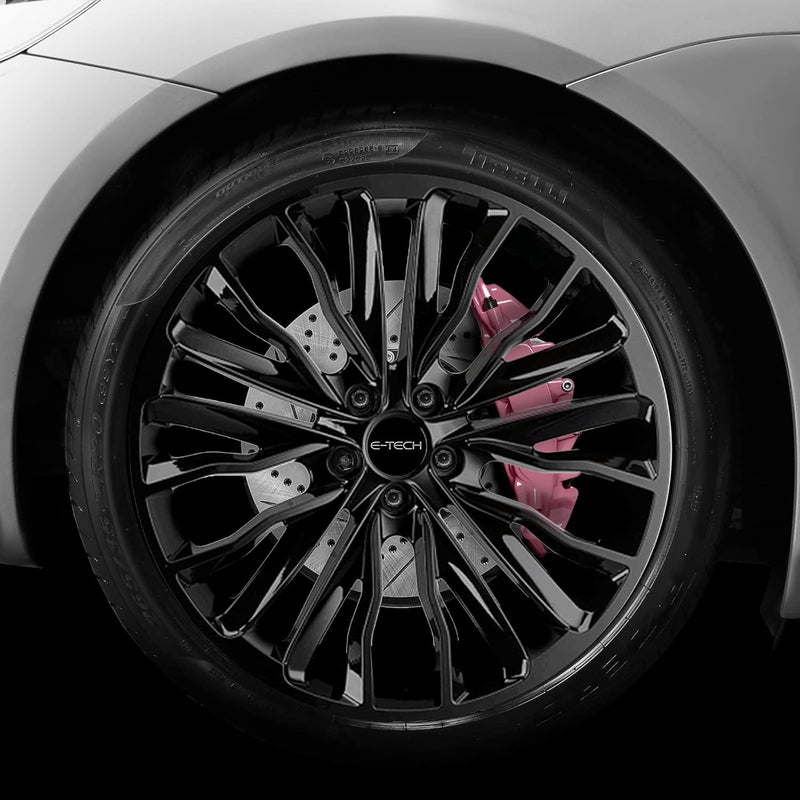 E‑Tech Brake Caliper Paint Kit – Professional High Temperature 220°C-Pink