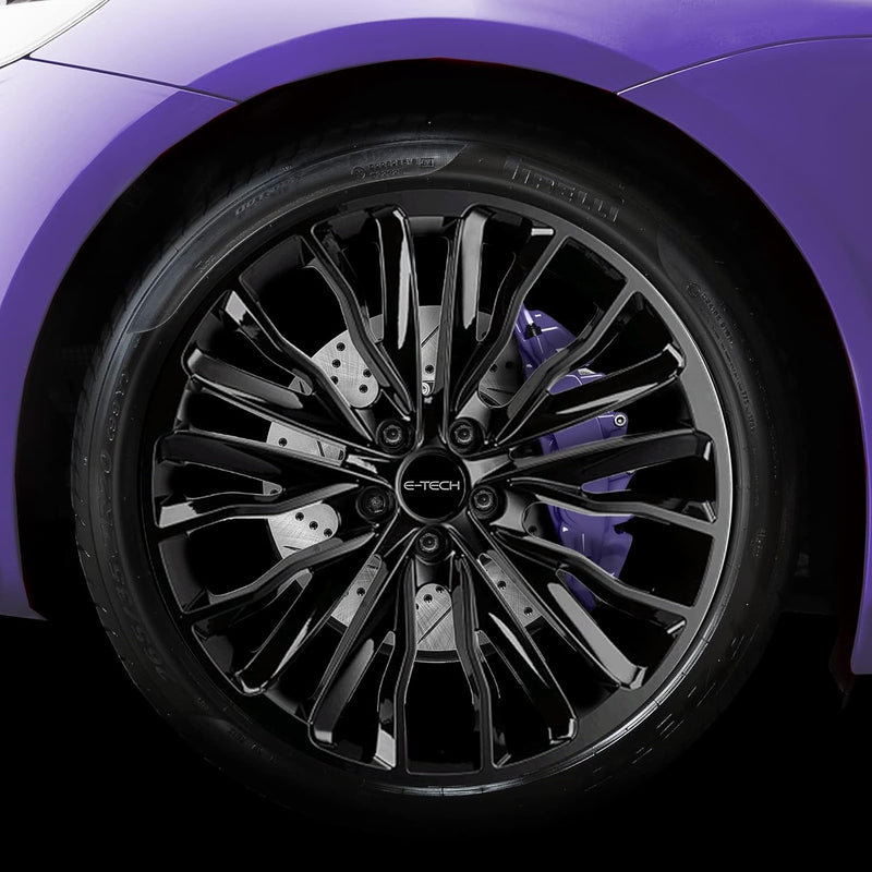 E‑Tech Brake Caliper Paint Kit – Professional High Temperature 220°C-Violet