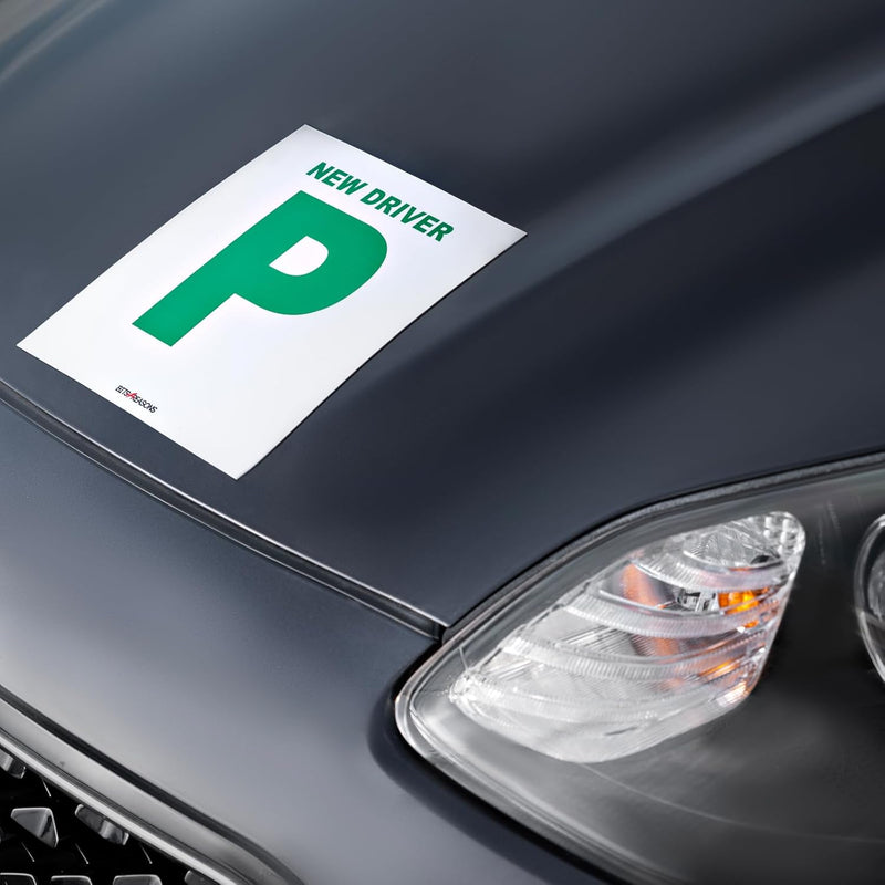 Heavy Duty Magnetic P Plates Pair