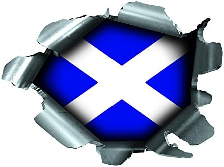 Speed Demons Flag Sticker – Self Adhesive Graphic-Wales (Side Flash)-Standard
