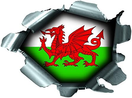 Speed Demons Flag Sticker – Self Adhesive Graphic-Wales-Extra Large